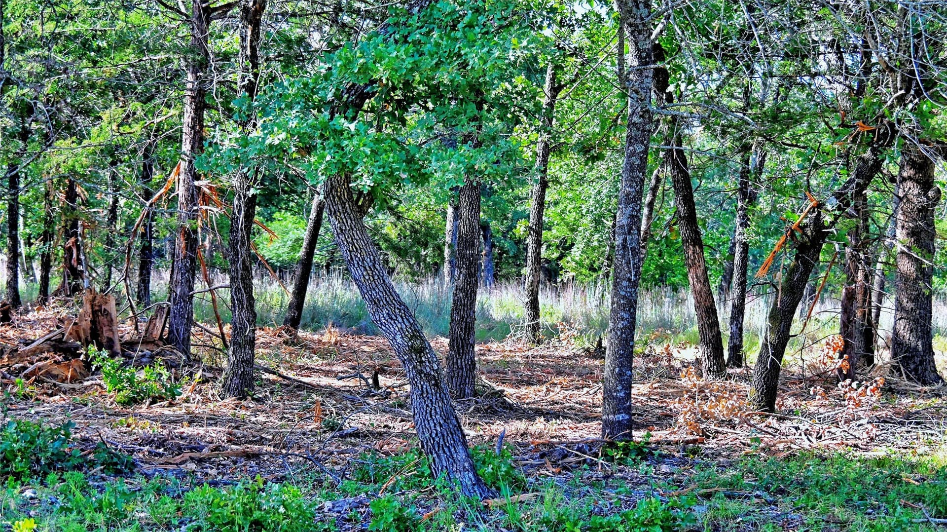 3 acres in Montague County - photo 21