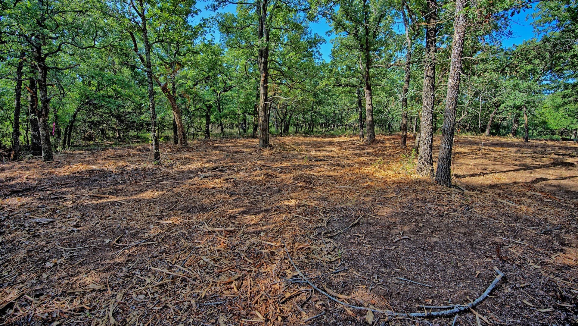 3 acres in Montague County - photo 25