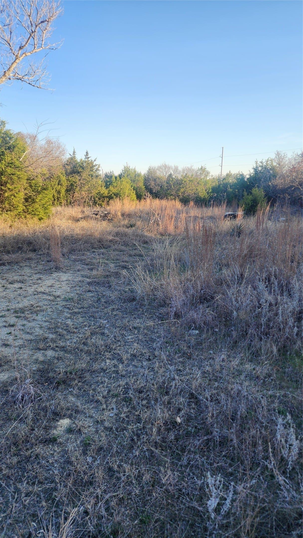 3.9 acres in Parker County - photo 15