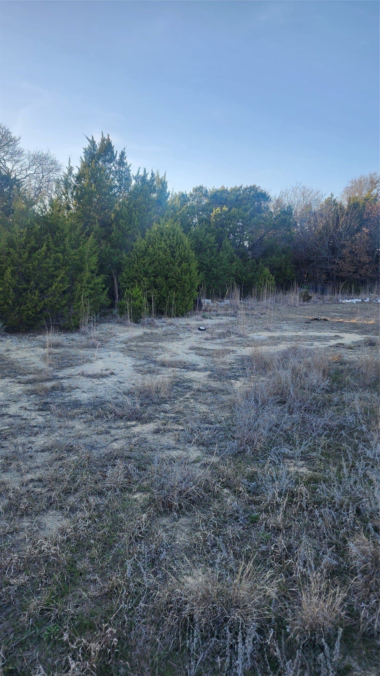 3.9 acres in Parker County - photo 12