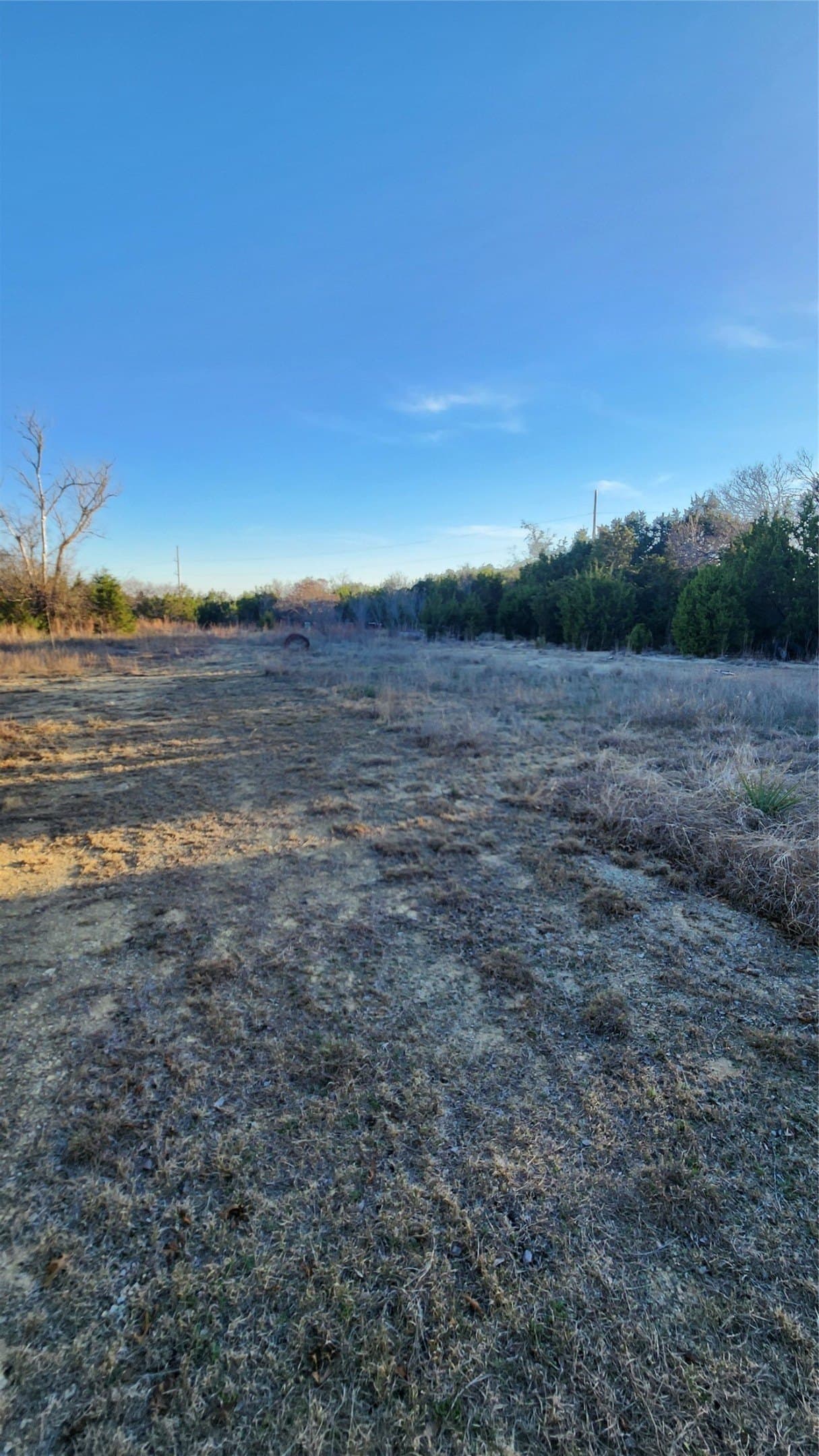 3.9 acres in Parker County - photo 9