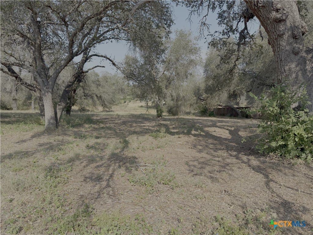 0.54 acres in Bexar County - photo 5