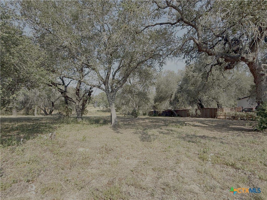 0.54 acres in Bexar County - photo 2