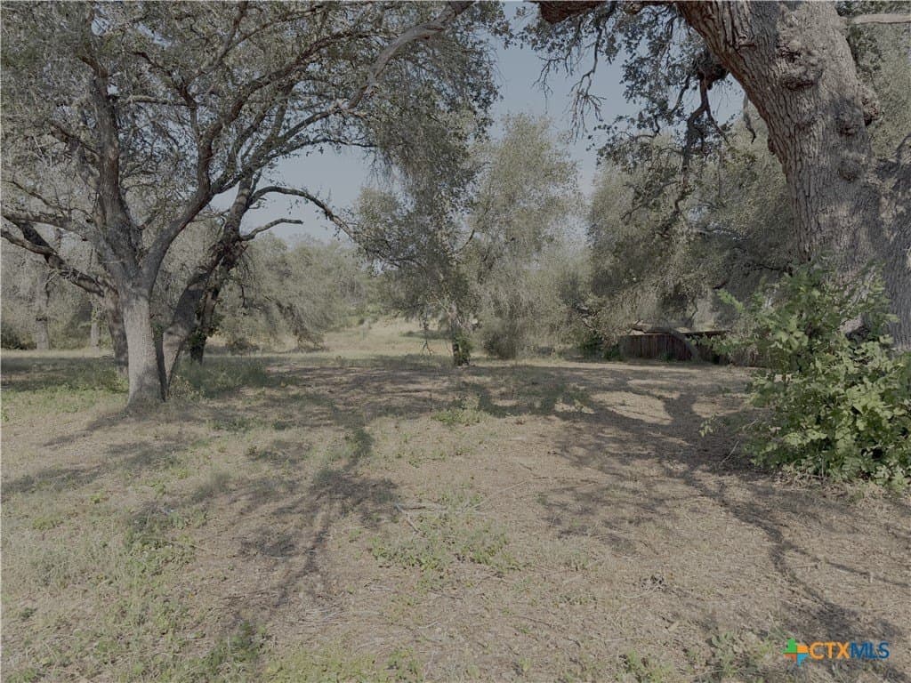 0.54 acres in Bexar County - photo 4