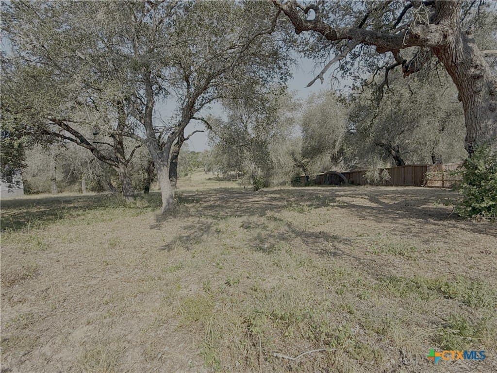 0.54 acres in Bexar County - photo 3