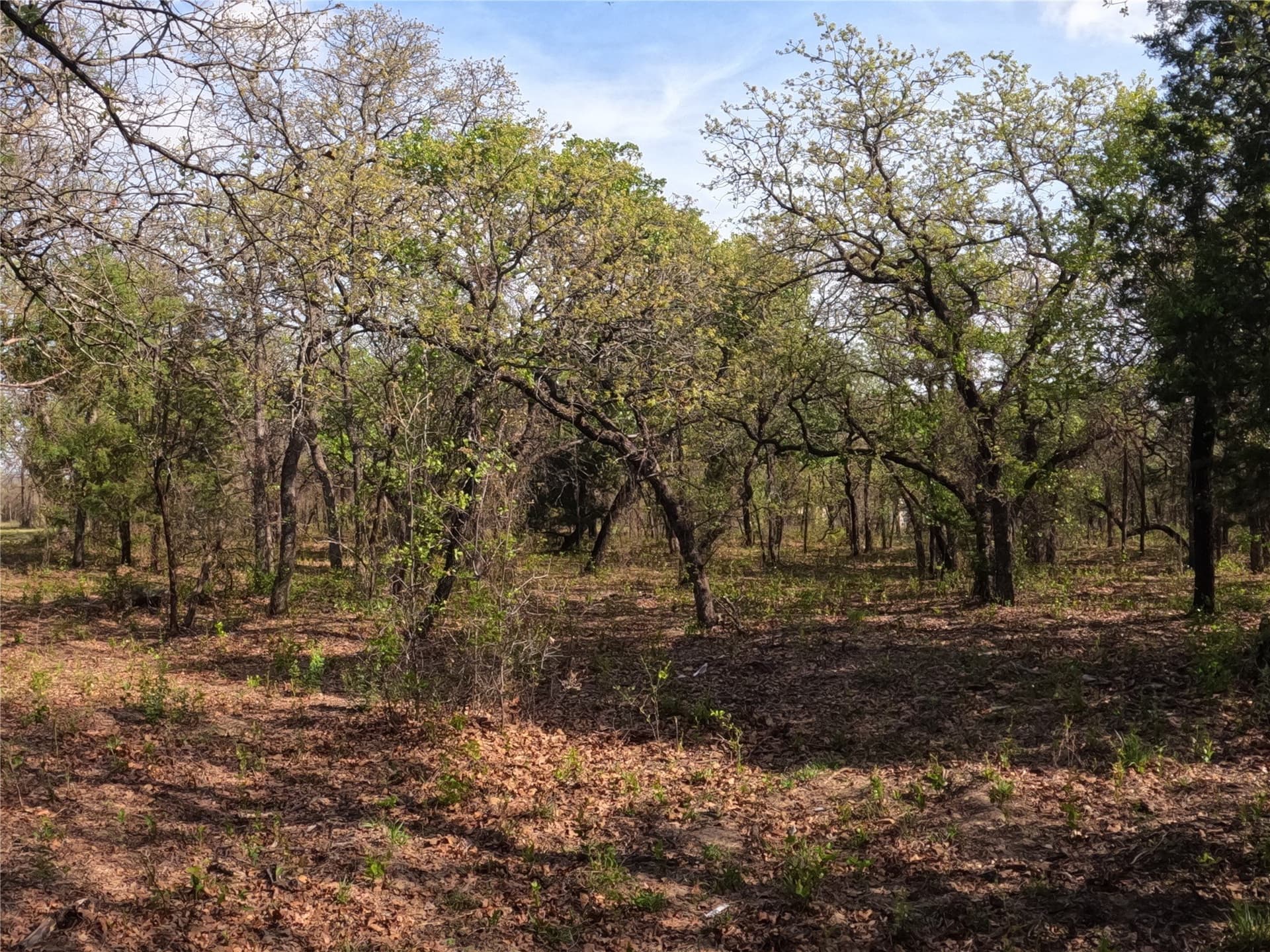 4.2 acres in Hood County - photo 12