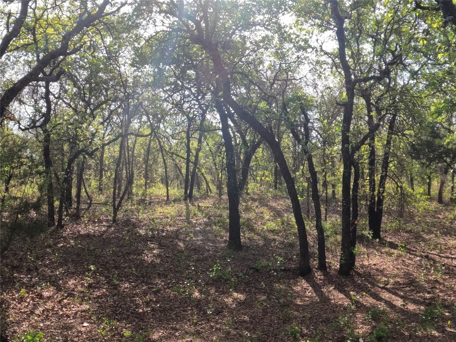 4.2 acres in Hood County - photo 11