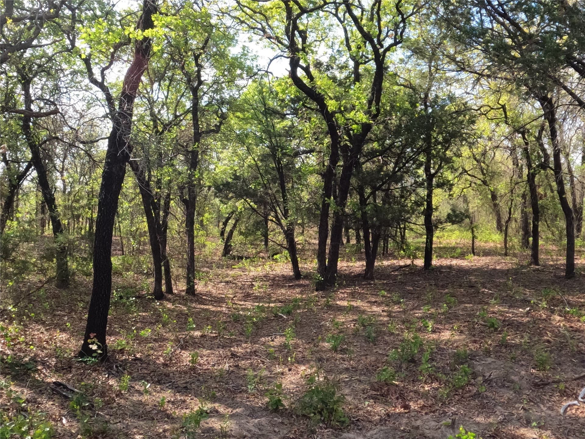 4.2 acres in Hood County - photo 9
