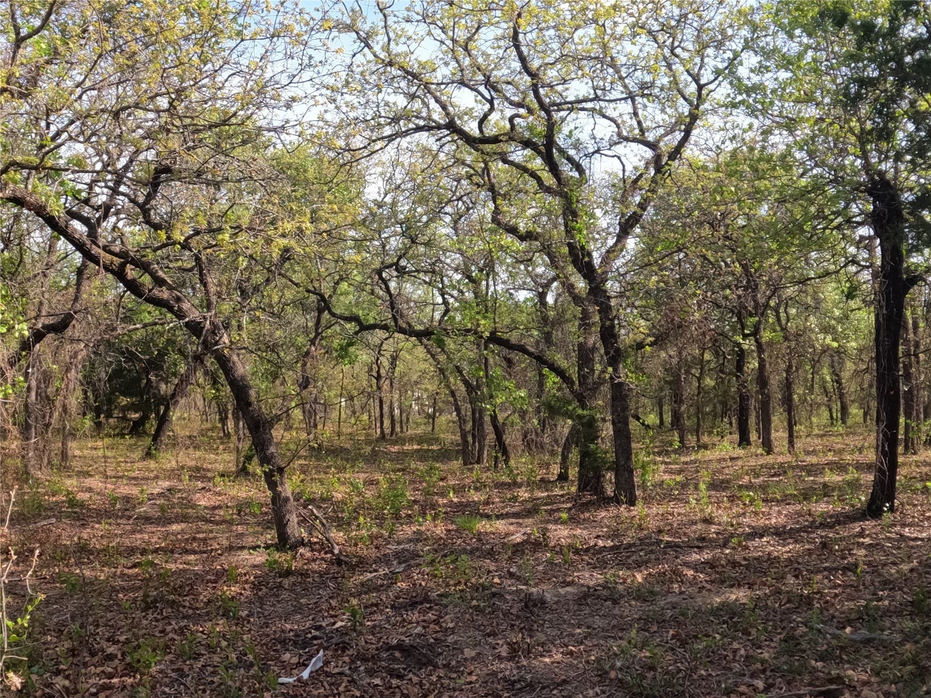 4.2 acres in Hood County - photo 10