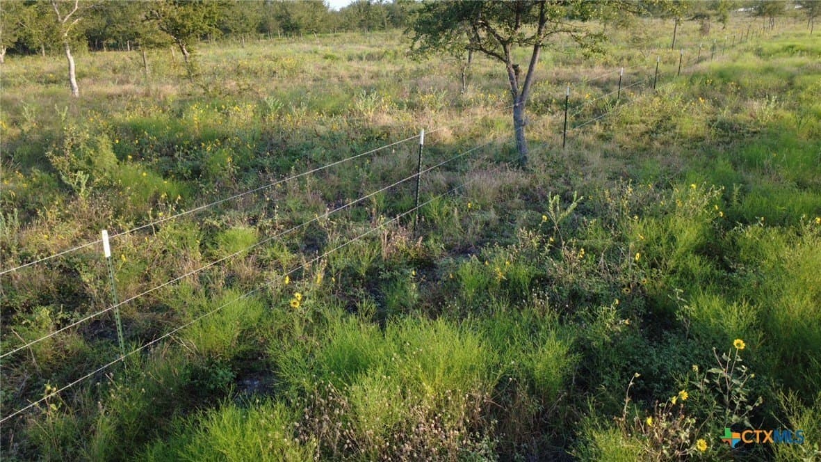 13.03 acres in Bell County - photo 17