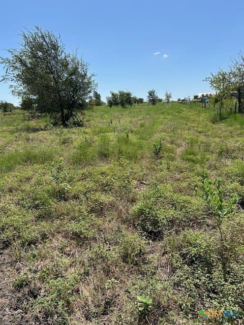 13.03 acres in Bell County gallery image 3