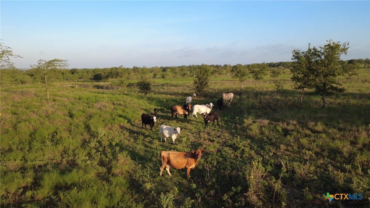 13.03 acres in Bell County - photo 15
