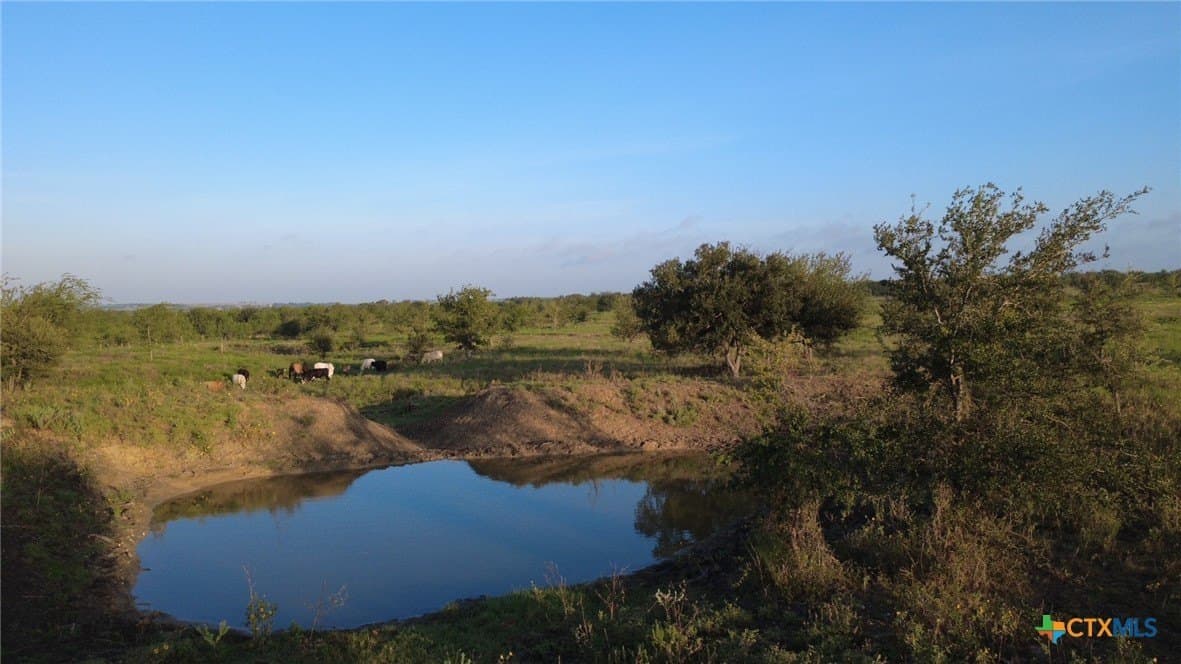 13.03 acres in Bell County - photo 14