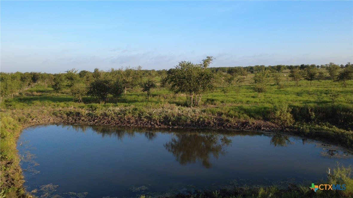 13.03 acres in Bell County - photo 6