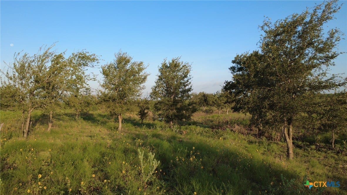 13.03 acres in Bell County - photo 18