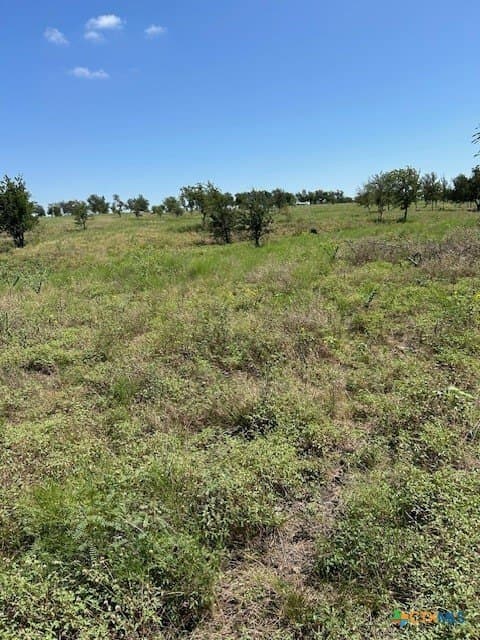 13.03 acres in Bell County - photo 7