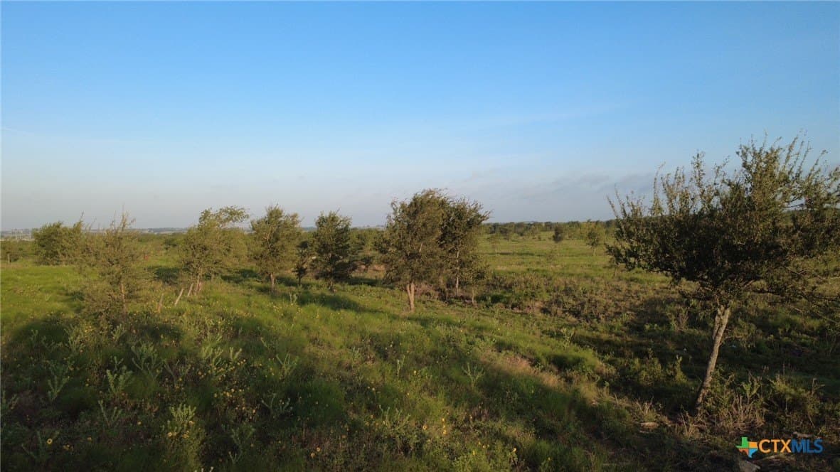 13.03 acres in Bell County - photo 12