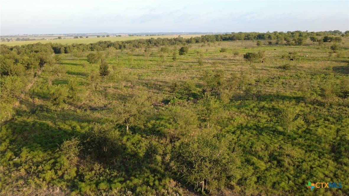 13.03 acres in Bell County - photo 16