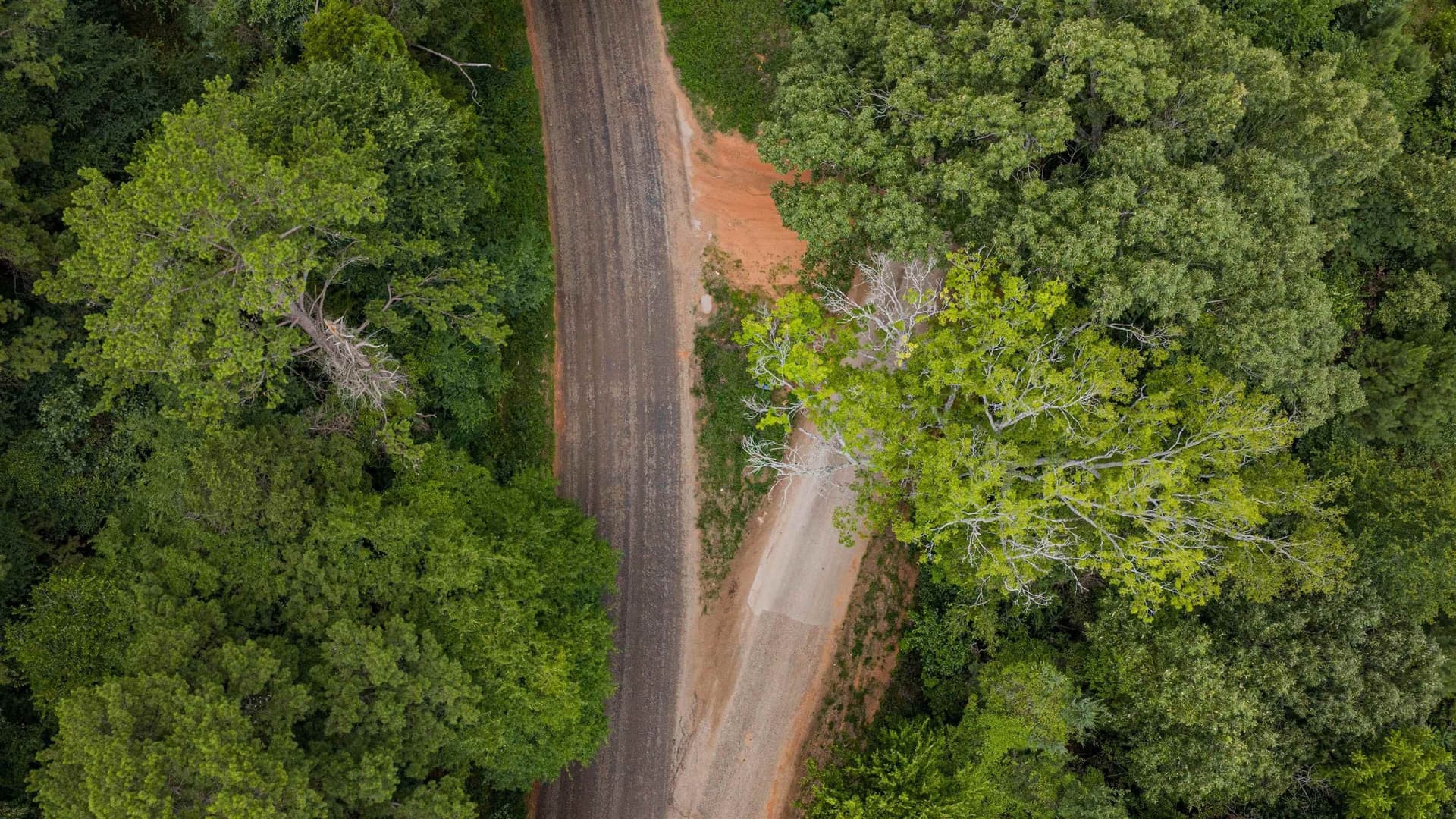 1.74 acres in Texas County - photo 9