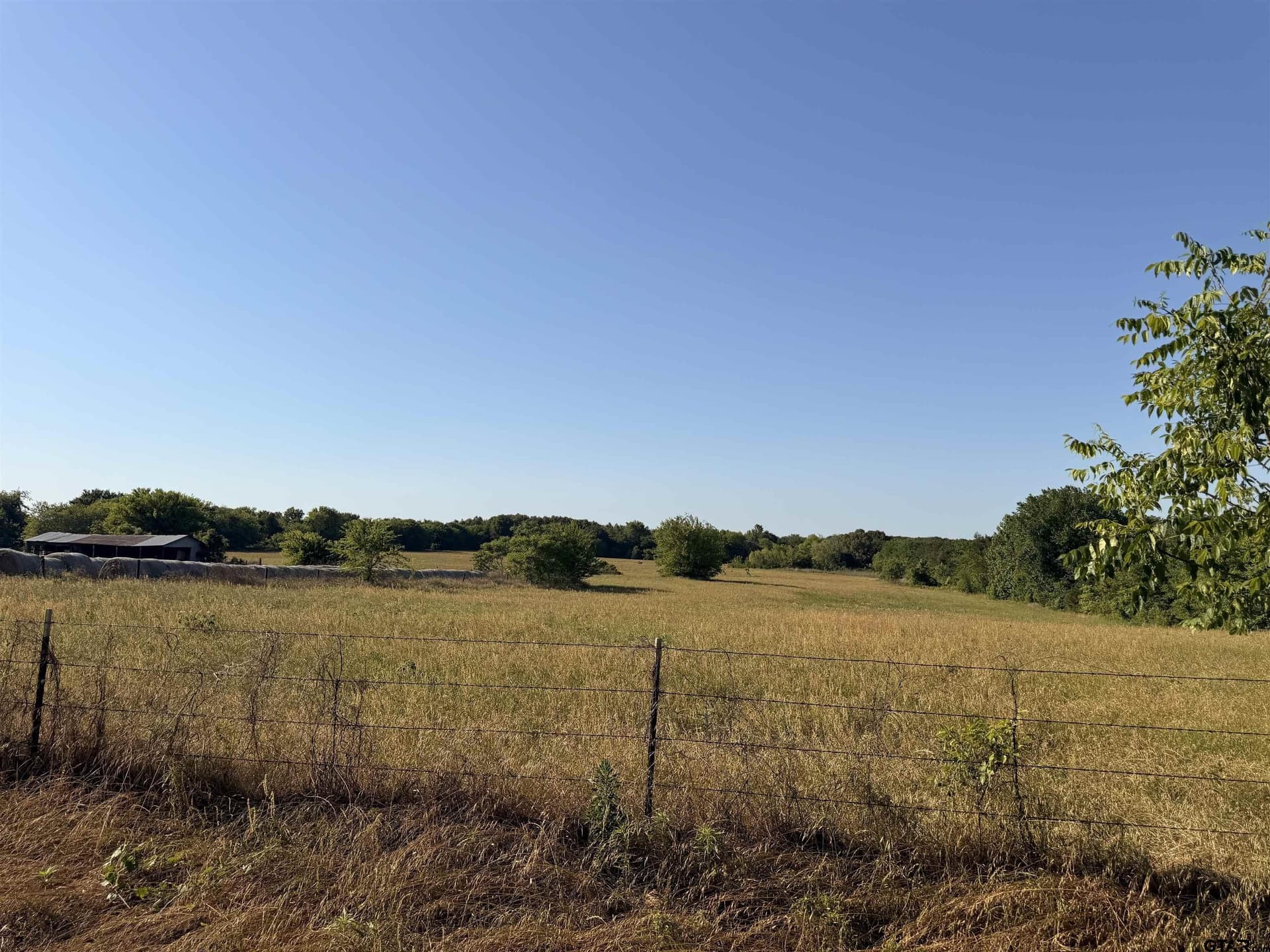 22 acres in Titus County