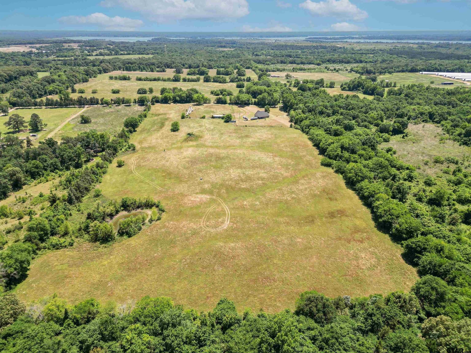 22 acres in Titus County gallery image 4