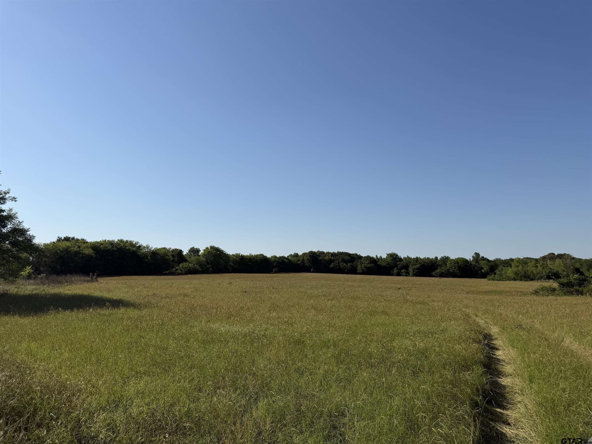 22 acres in Titus County featured view