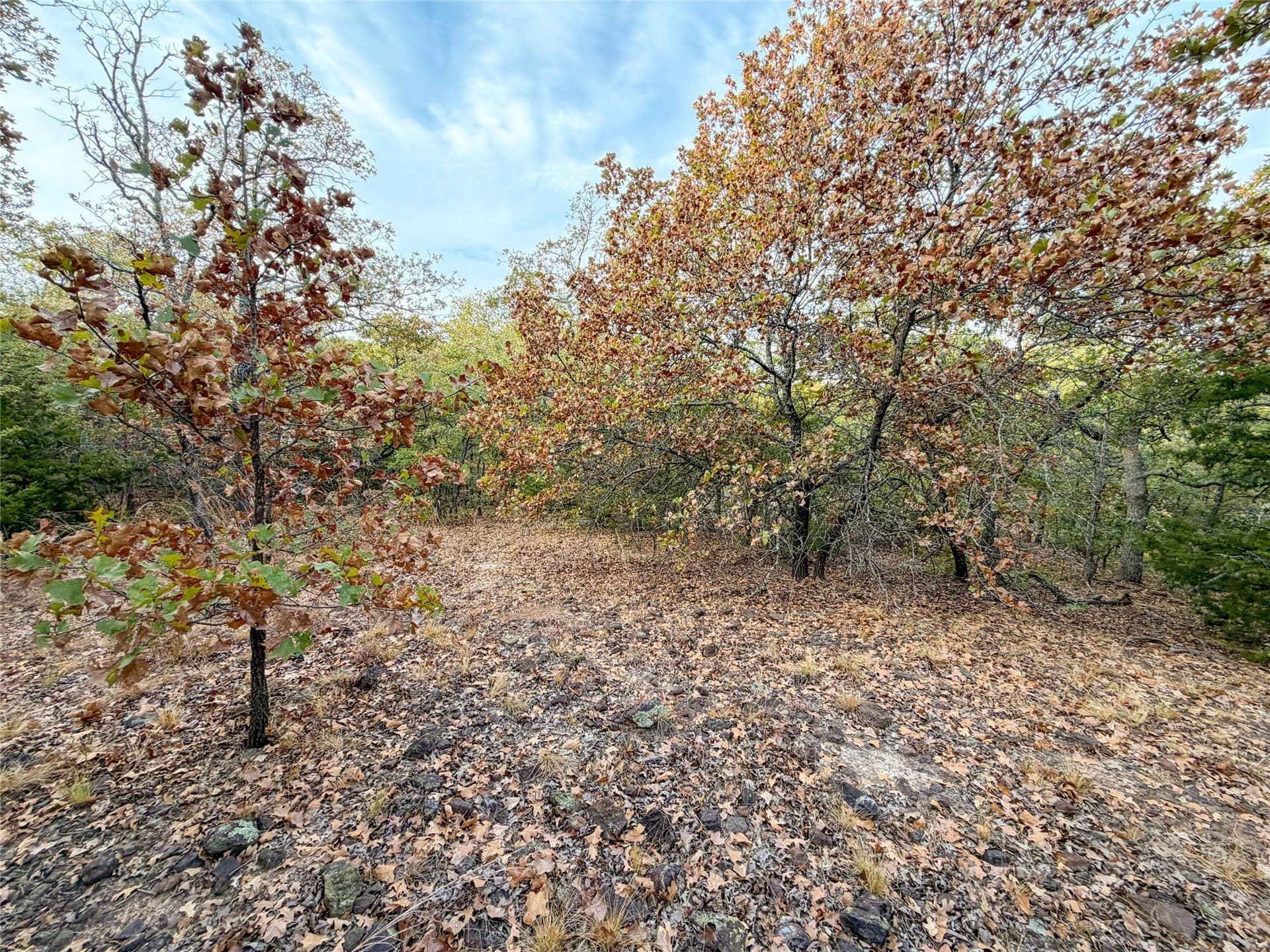 38.57 acres in Denton County - photo 26