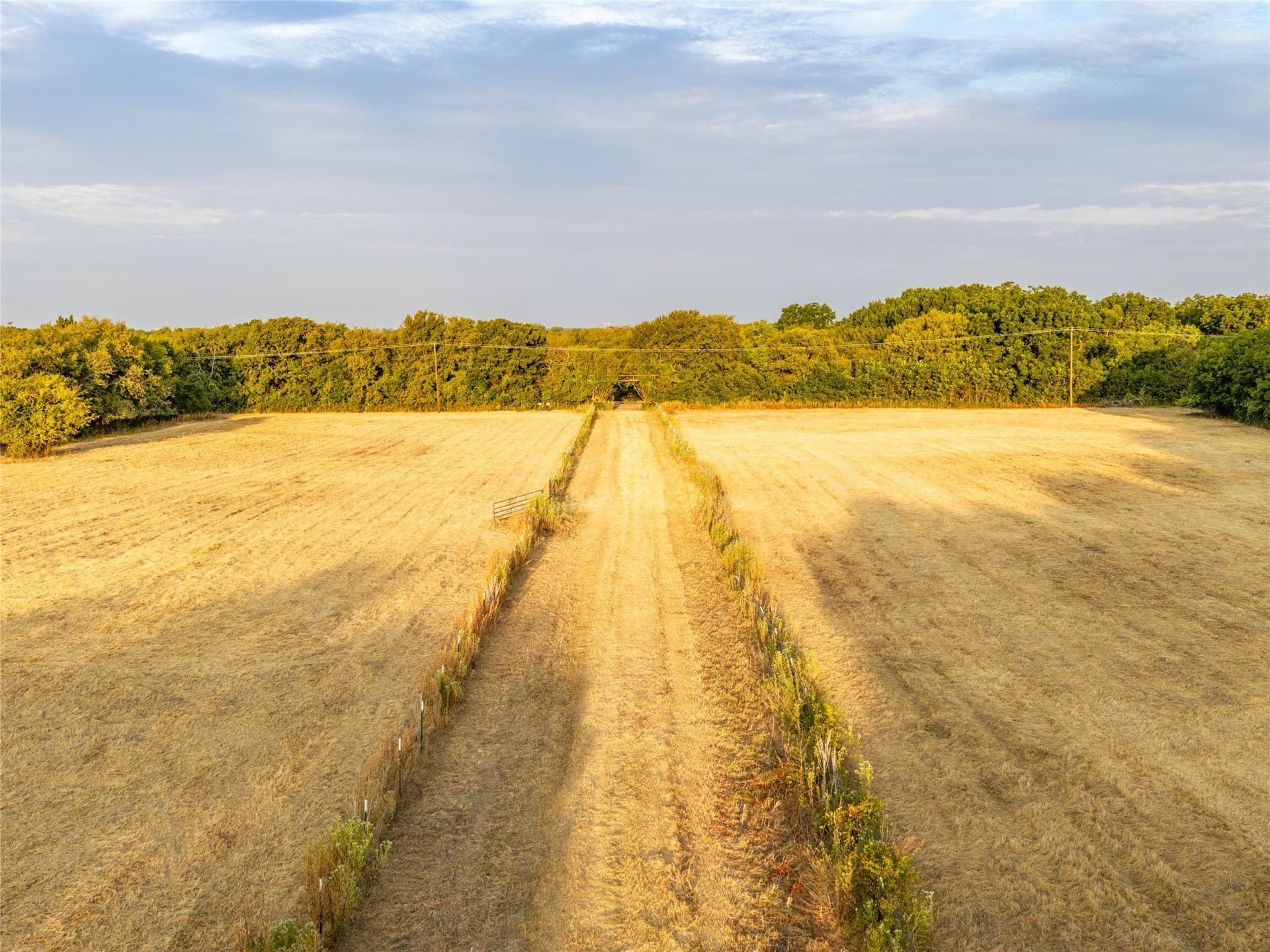38.57 acres in Denton County - photo 19