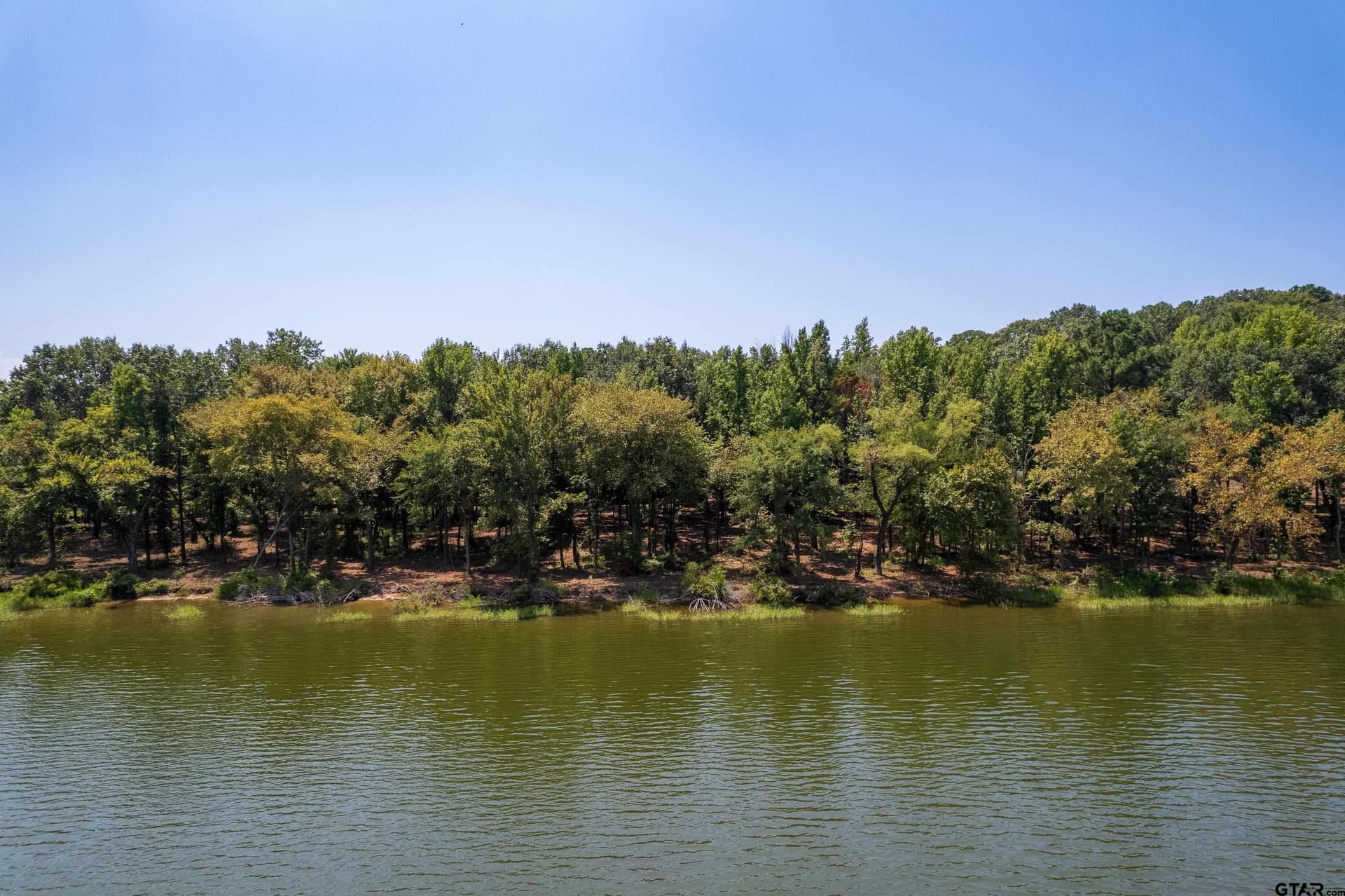 1.55 acres in Camp County - photo 8