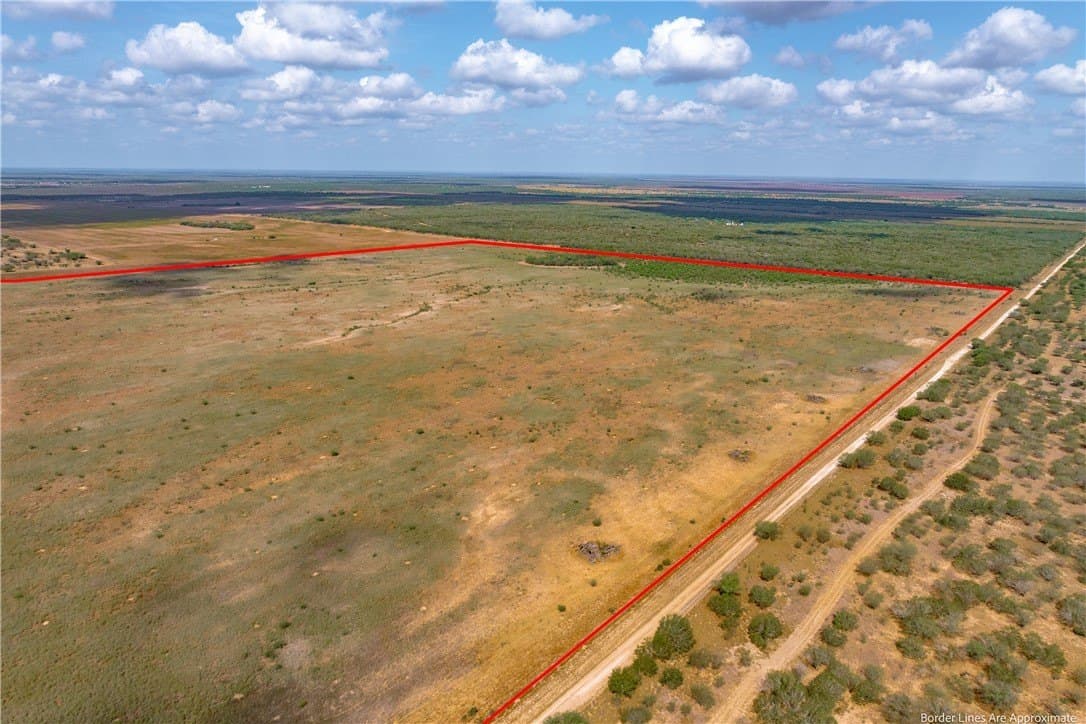 200.9 acres in Jim Wells County gallery image 4