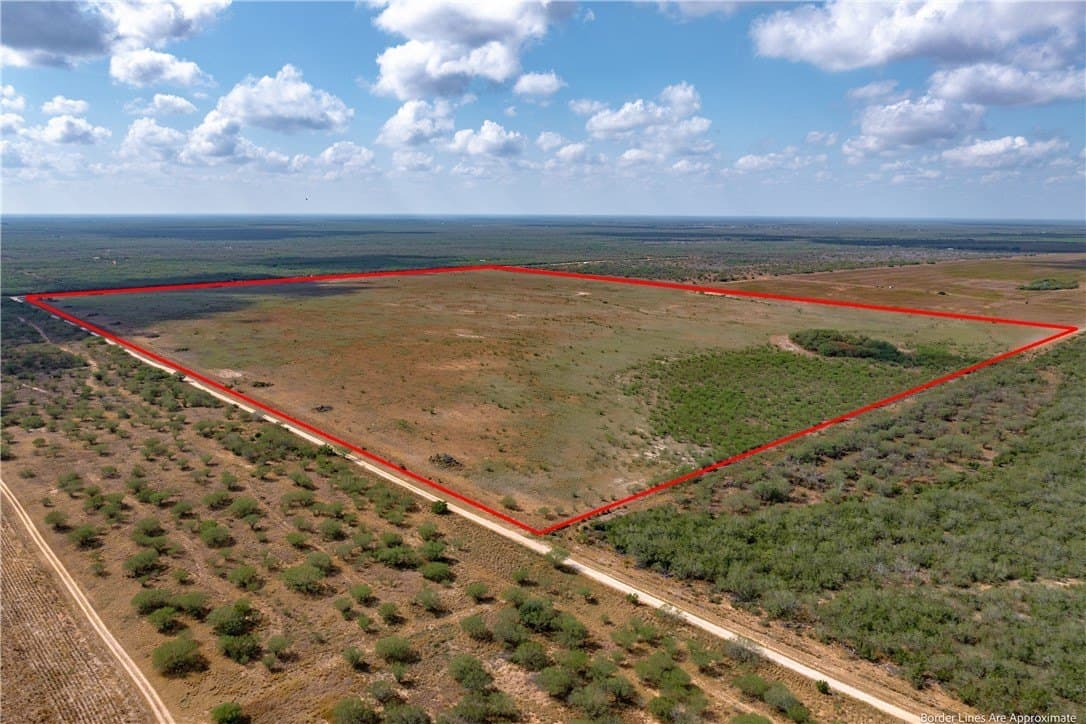 200.9 acres in Jim Wells County gallery image 3