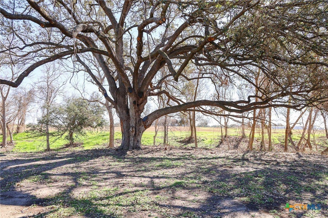 1.87 acres in Lavaca County gallery image 3