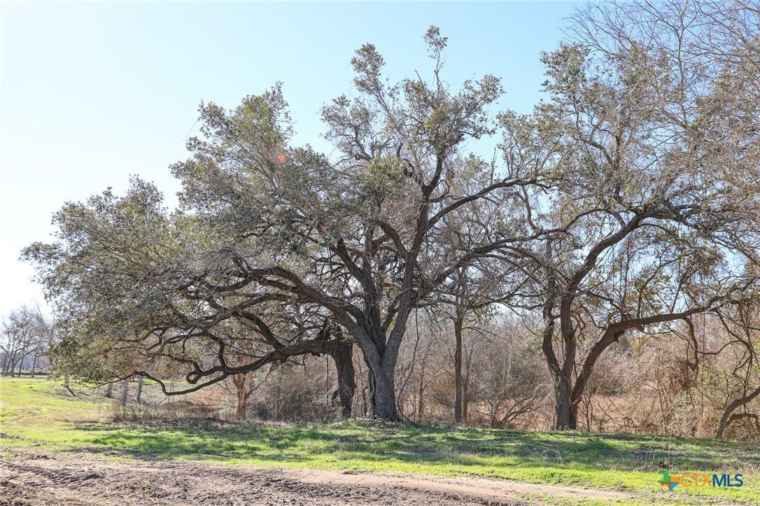 1.88 acres in Lavaca County gallery image 4