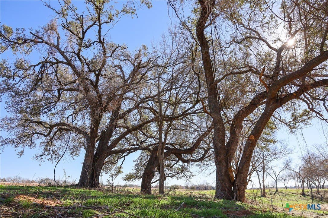 1.88 acres in Lavaca County gallery image 2