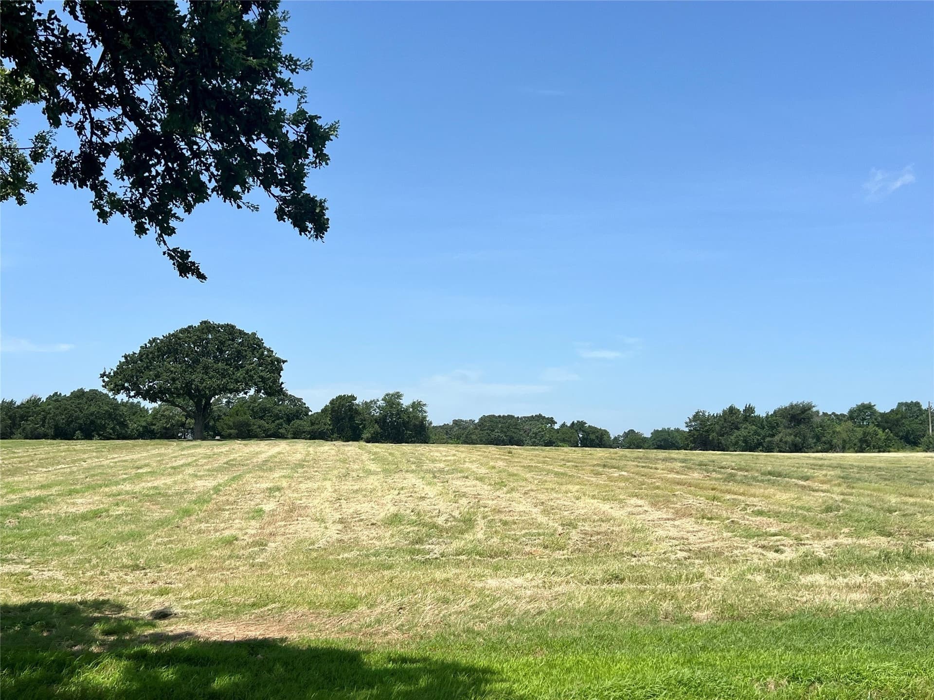 14.5 acres in Grayson County - photo 3