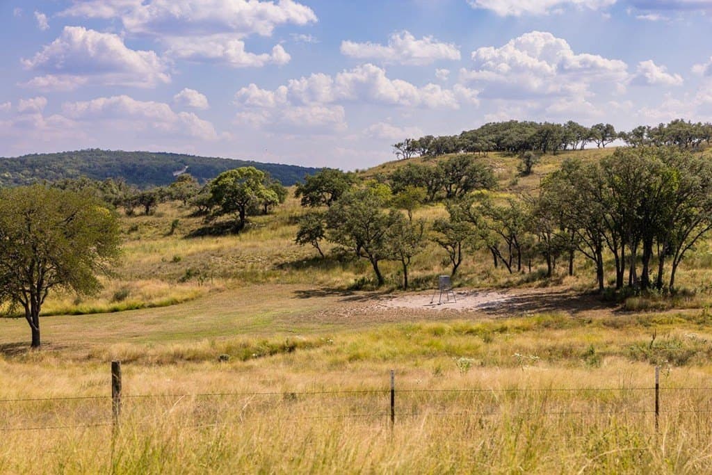 151 acres in Kerr County - photo 5