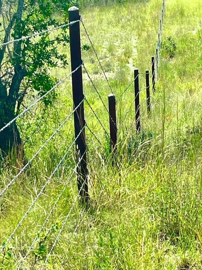 151 acres in Kerr County - photo 8