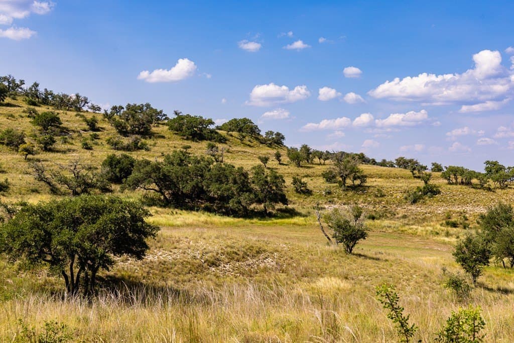 151 acres in Kerr County - photo 11