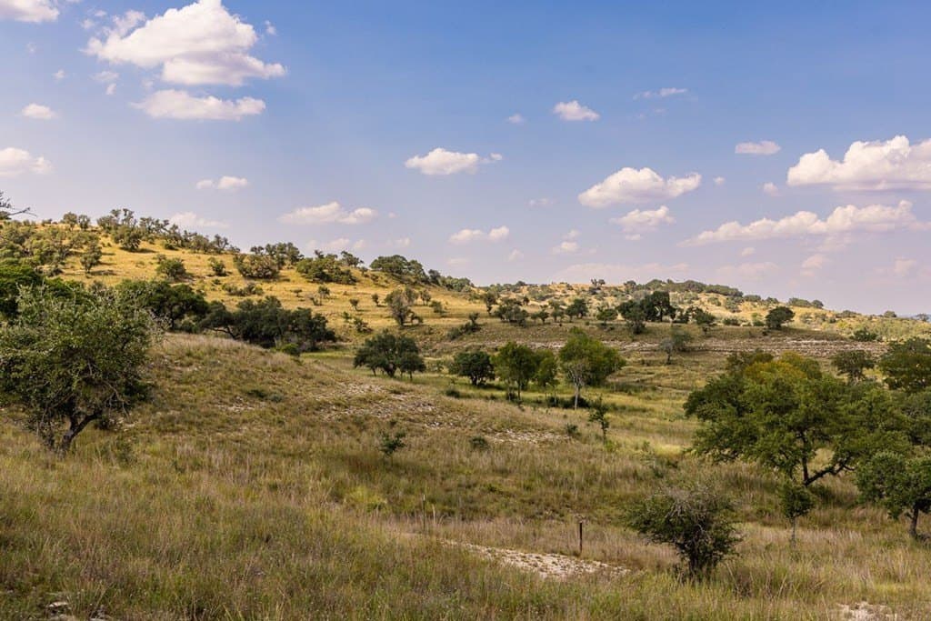 151 acres in Kerr County - photo 3