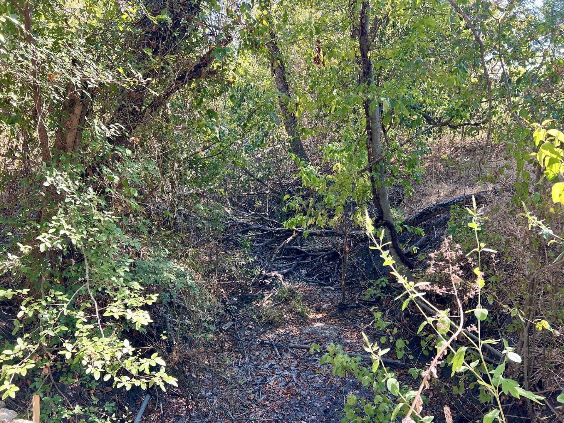 8 acres in McLennan County - photo 8