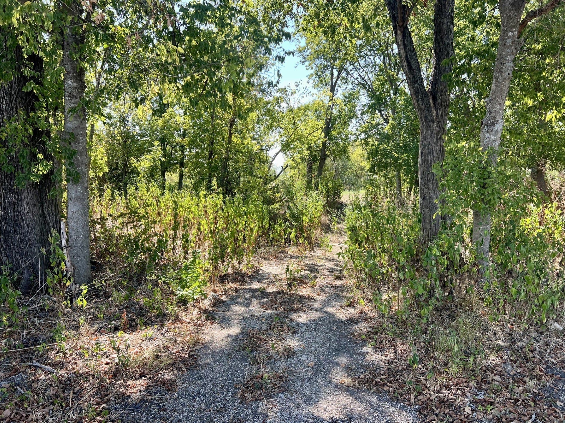 8 acres in McLennan County - photo 6