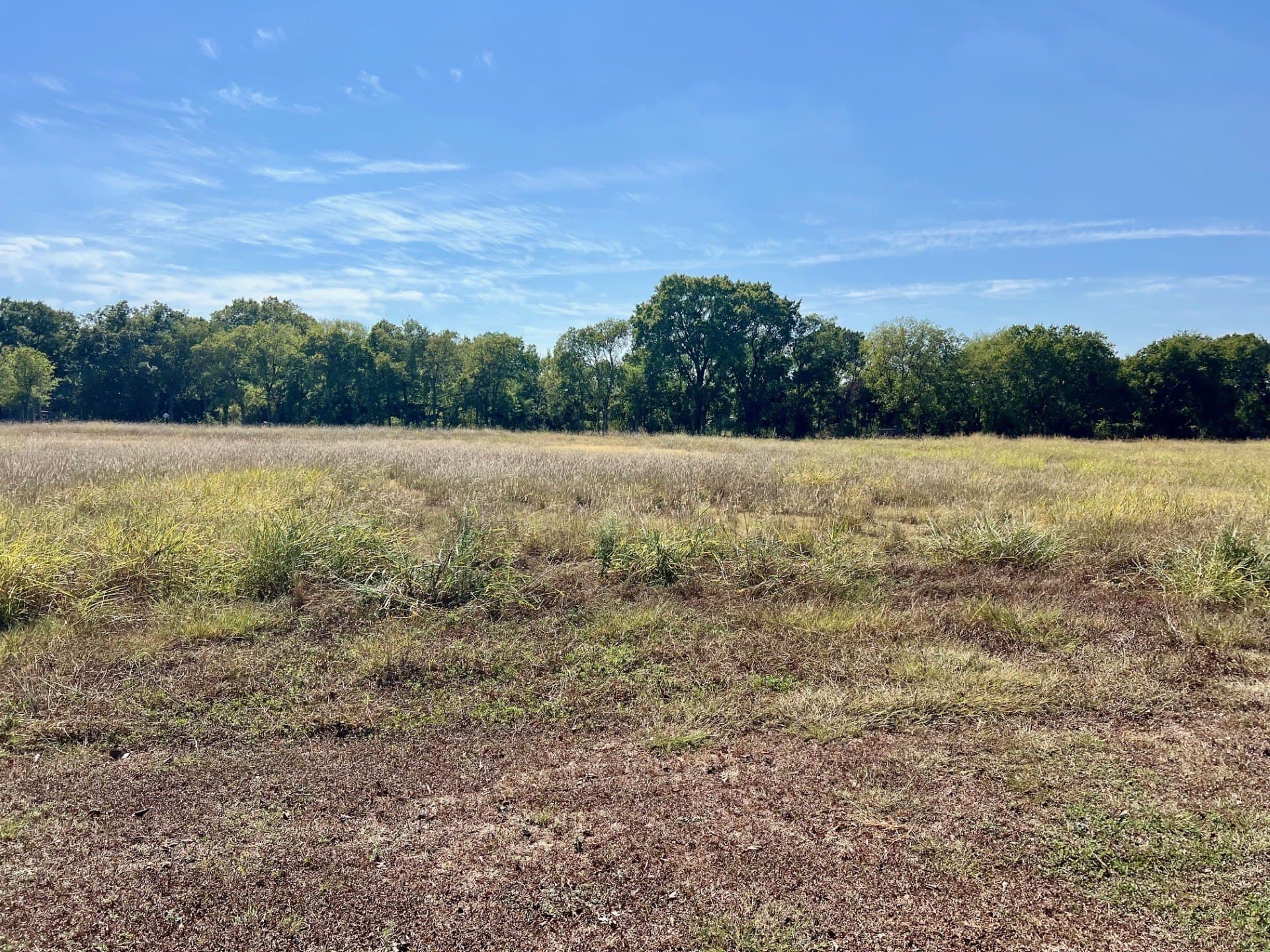 8 acres in McLennan County - photo 7