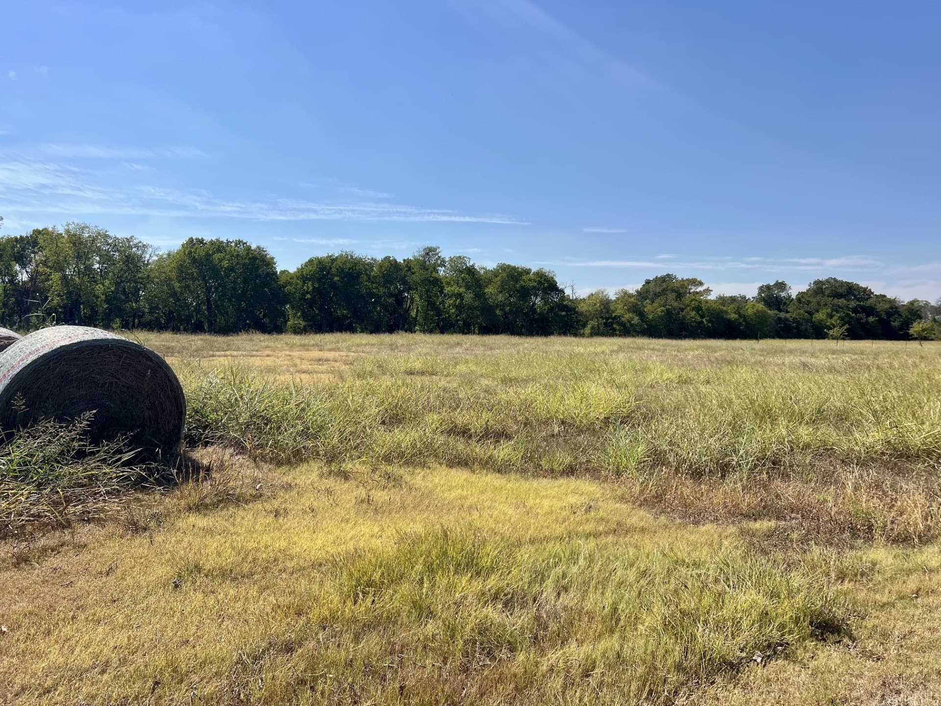 8 acres in McLennan County - photo 11