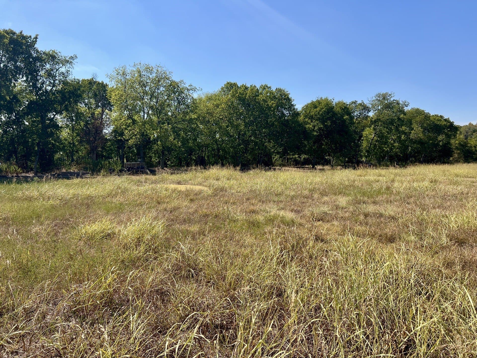 8 acres in McLennan County - photo 12