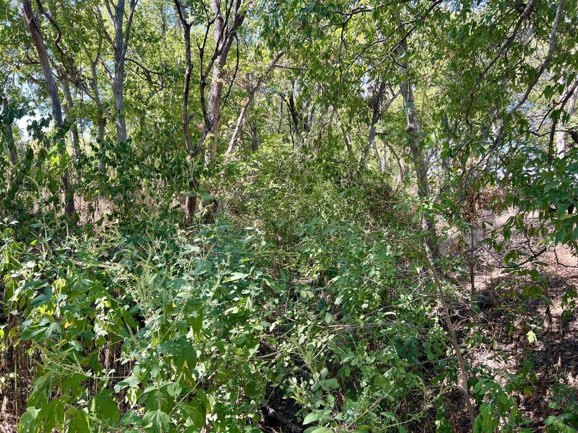 8 acres in McLennan County - photo 9