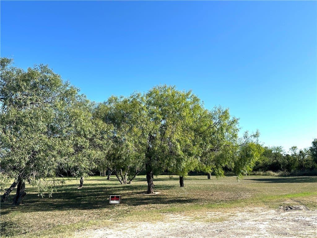 0.69 acres in San Patricio County gallery image 2
