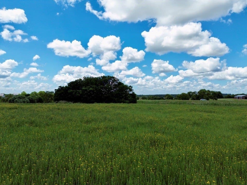 2.12 acres in Henderson County gallery image 4