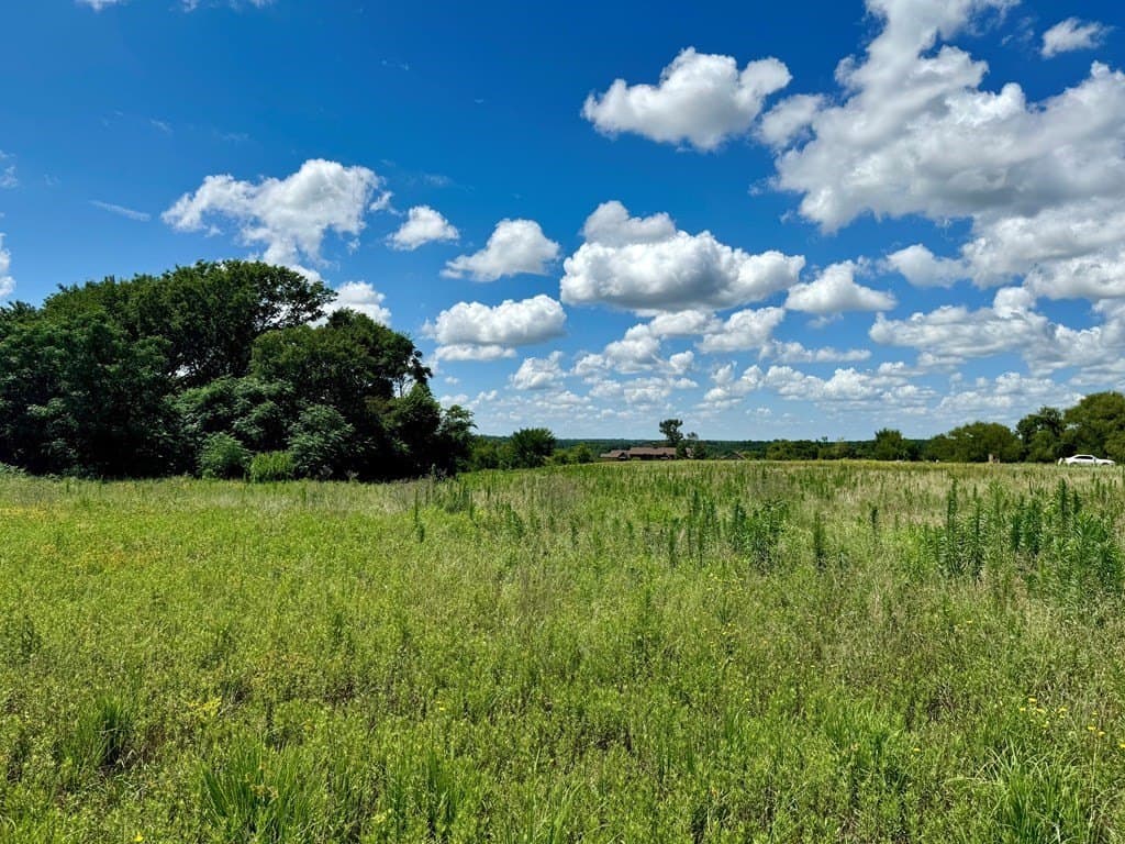 2.12 acres in Henderson County gallery image 2