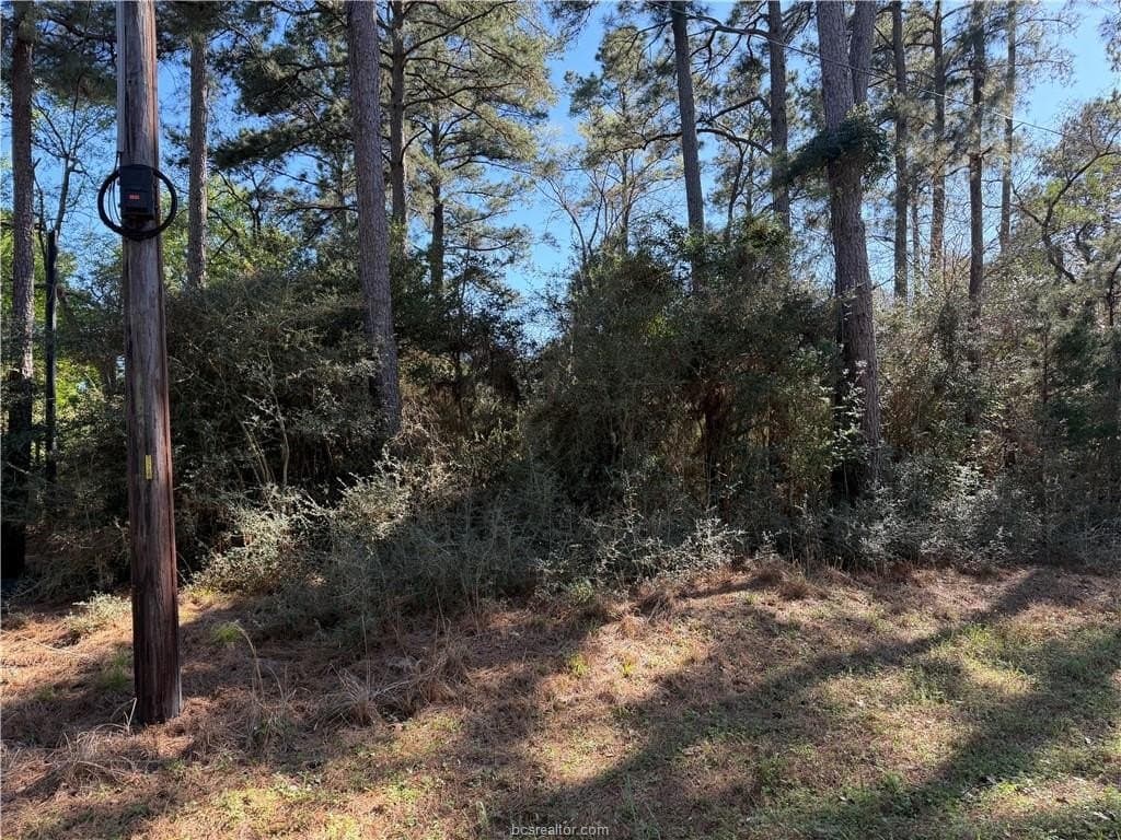 25.16 acres in Grimes County