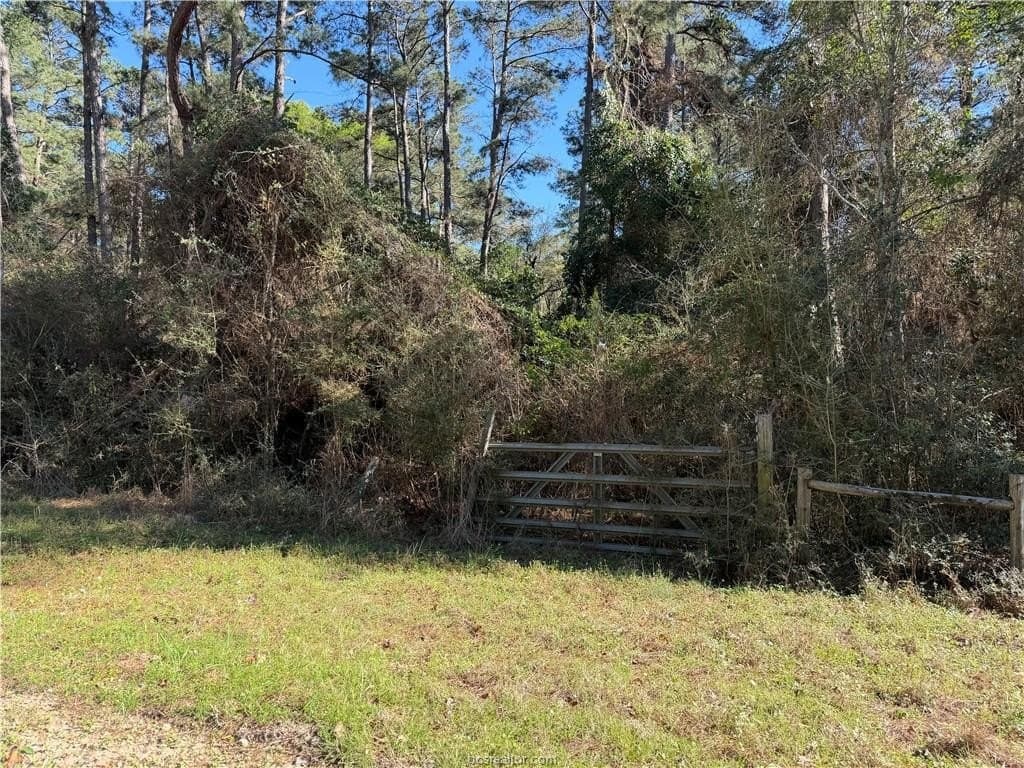 25.16 acres in Grimes County gallery image 3